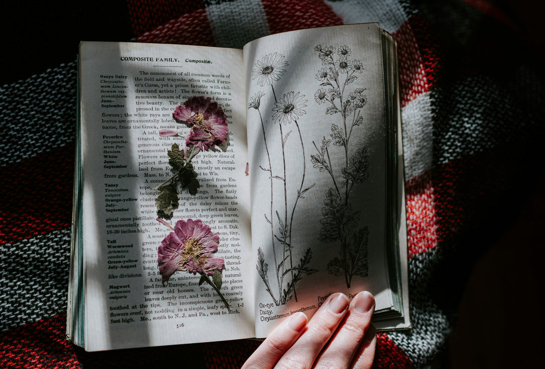 The Art of Pressing Flowers